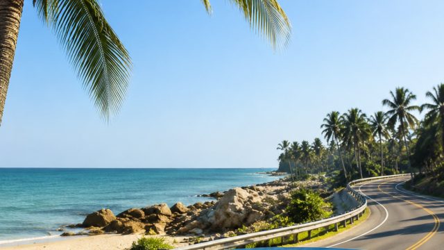 Explore Florida's New Travel Routes: A Gateway to Adventure in 2026