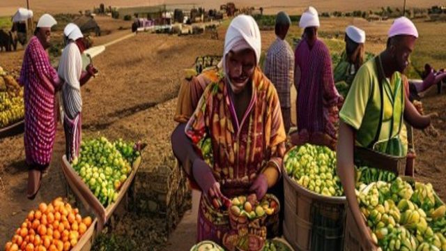 Empowering Fig Farmers: Overcoming Storage Challenges in Herat