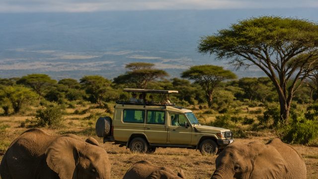 Kenya's Sustainable Tourism Revolution: A New Era of Eco-Friendly Travel
