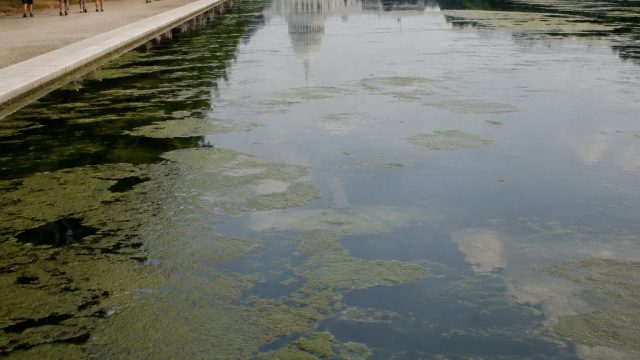 Trump's Reflecting Pool: A Symbol of Environmental Oversight