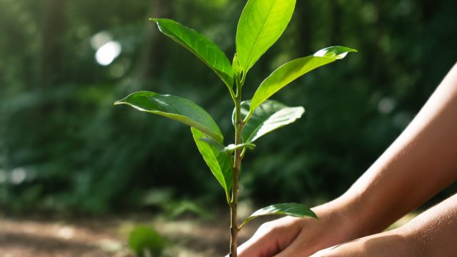 Celebrate World Environment Day with Eco-Friendly Choices