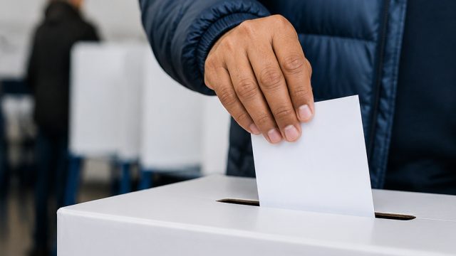 New York's 2026 Primary: Key Insights and Live Updates